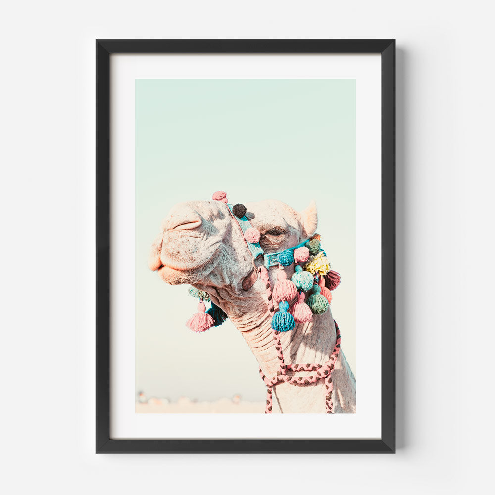 Camel of Cairo Art Print