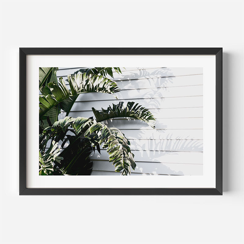 Framed artwork with tropical leaves against a white background