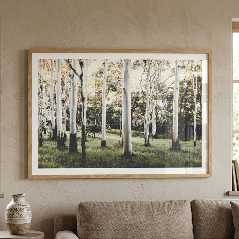 Ghost Gums Forest Art Print