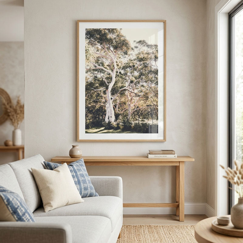 Callala Gums Art Print