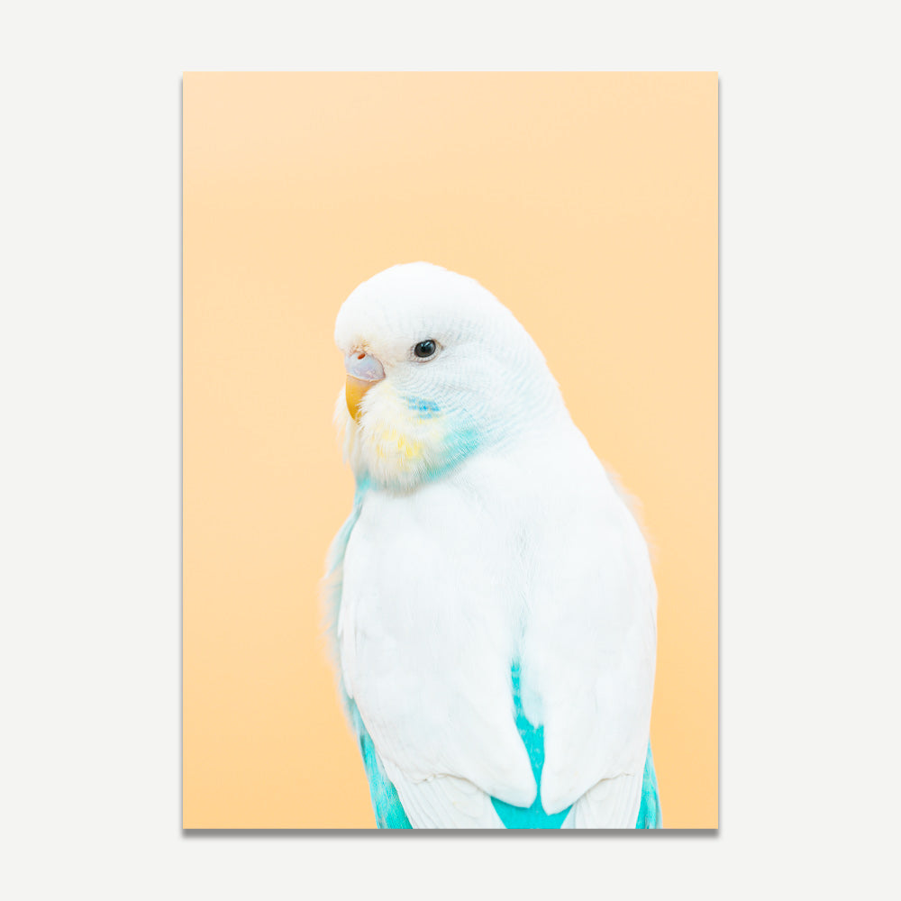 A wall art featuring a pastel-colored image of a white bird with a predominantly orange background.