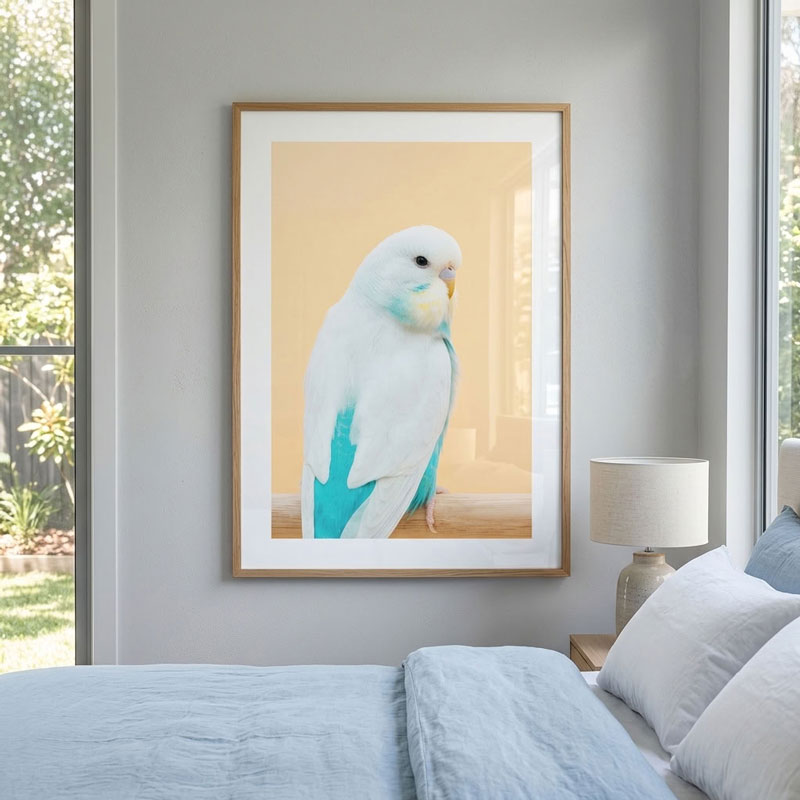 A framed art print of a white and turquoise budgerigar parrot on a warm beige background, styled on a light gray wall above a bed with blue bedding in a modern bedroom setting.