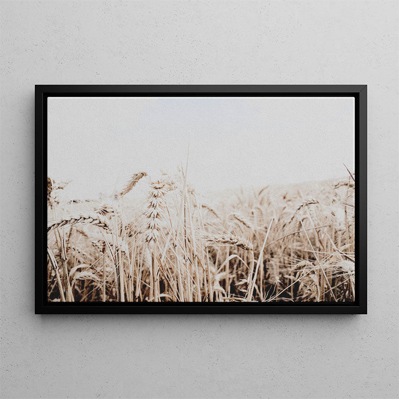 Framed photograph of a wheat field on a gray wall