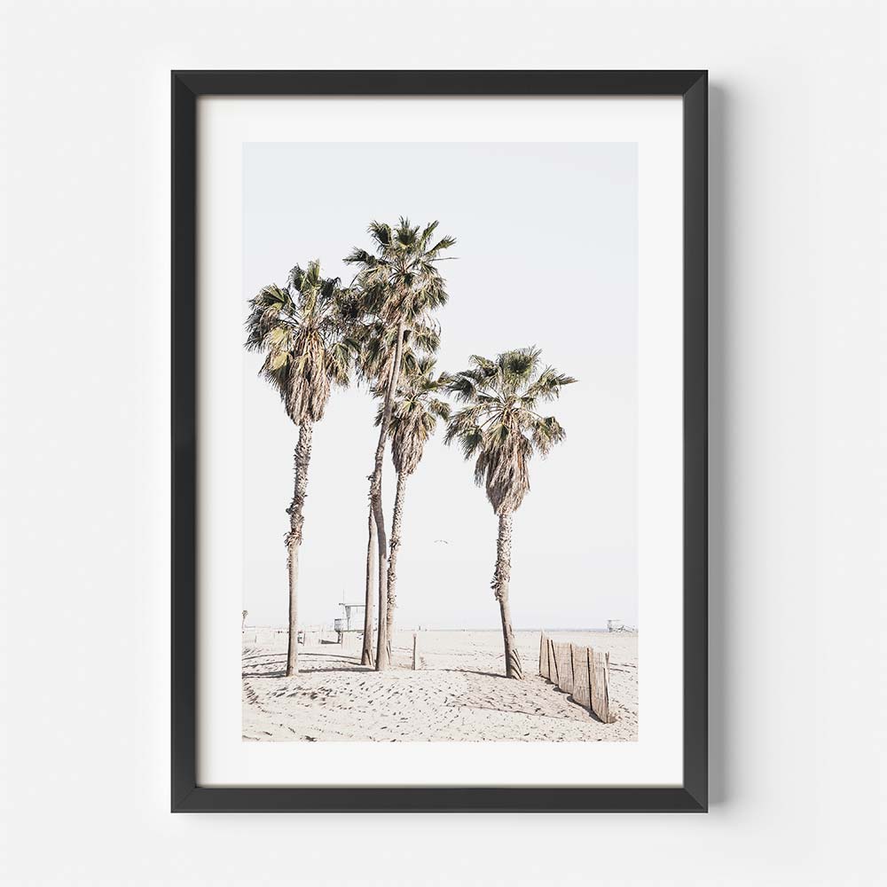 Ocean Park Palms Art Print