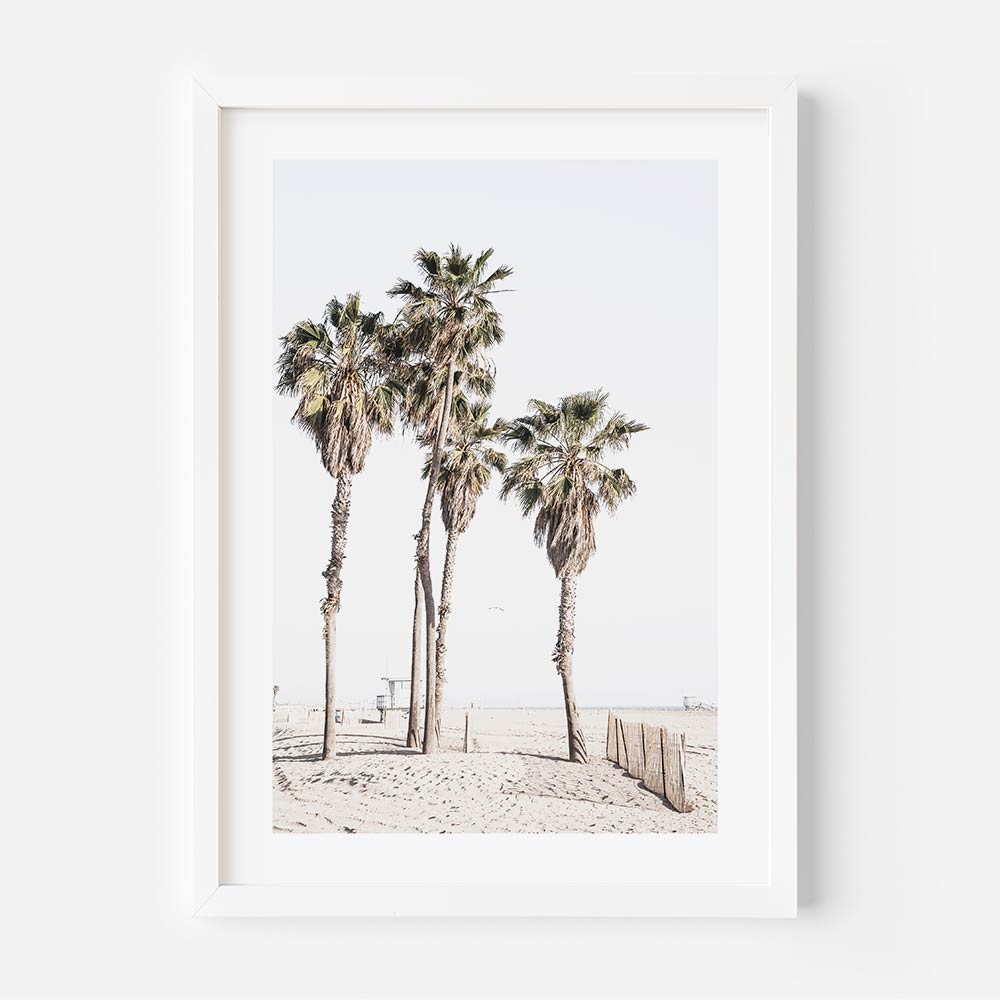 Ocean Park Palms Art Print