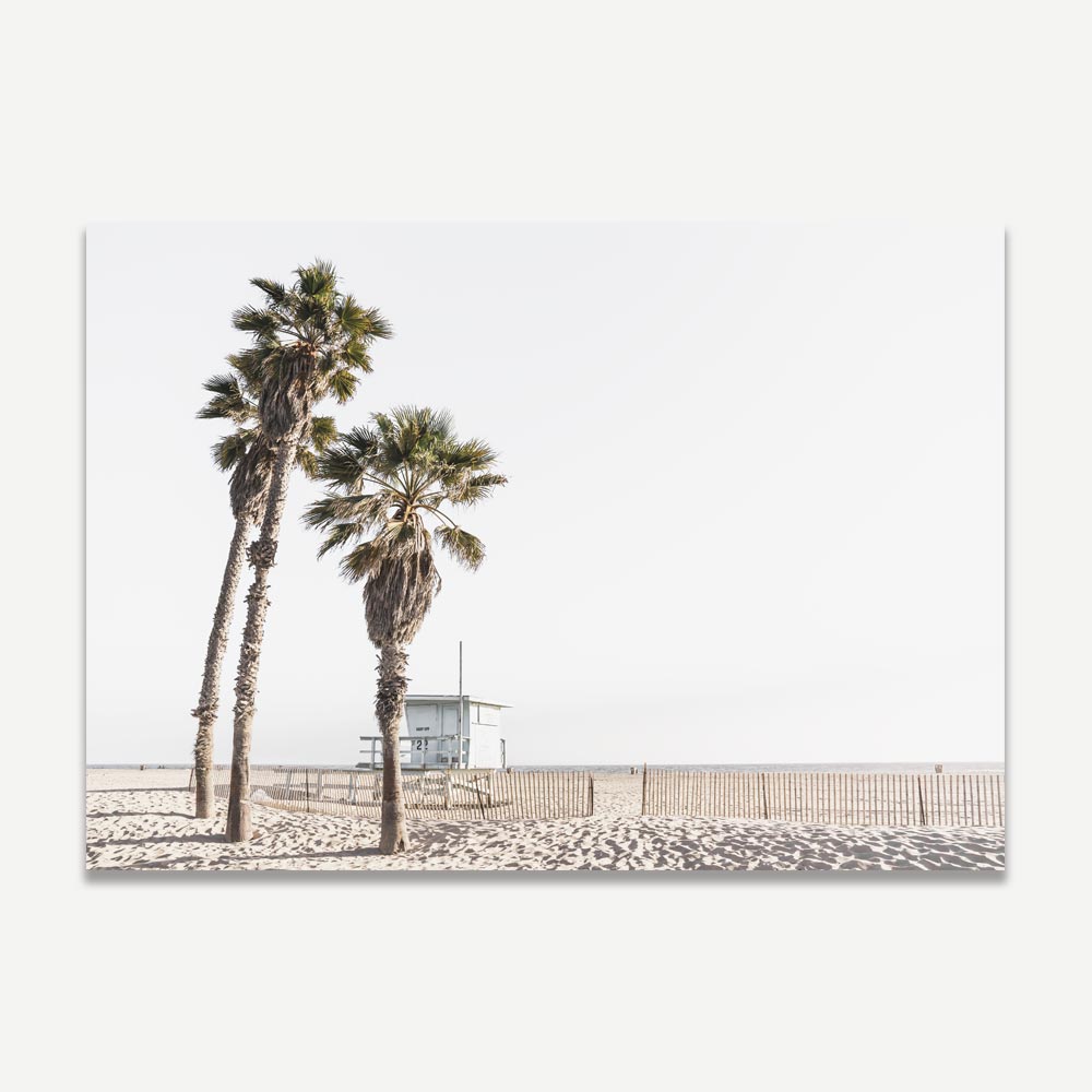 Palm trees and lifeguard hut at Ocean Park Beach, perfect for framed art or canvas prints.