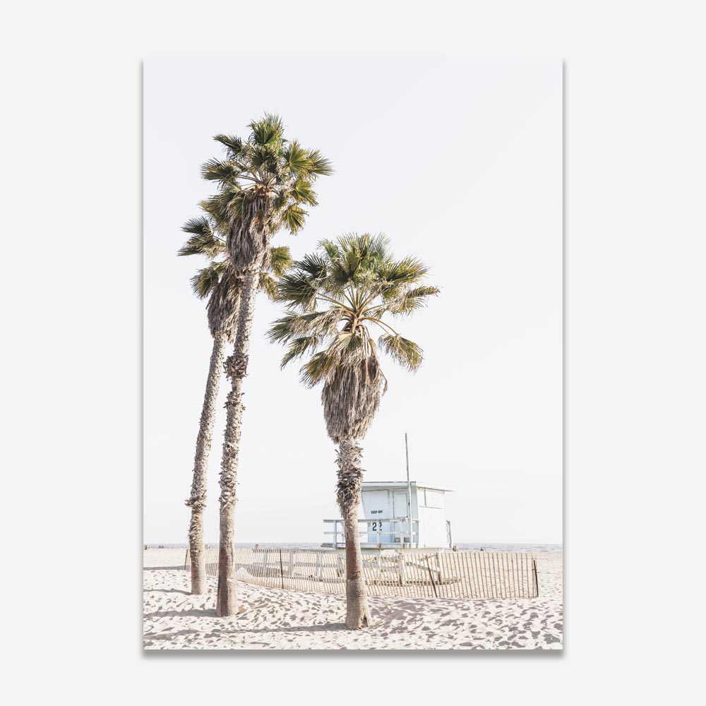 Set of 2 Art Prints - Ocean Park Palms & Ocean Park
