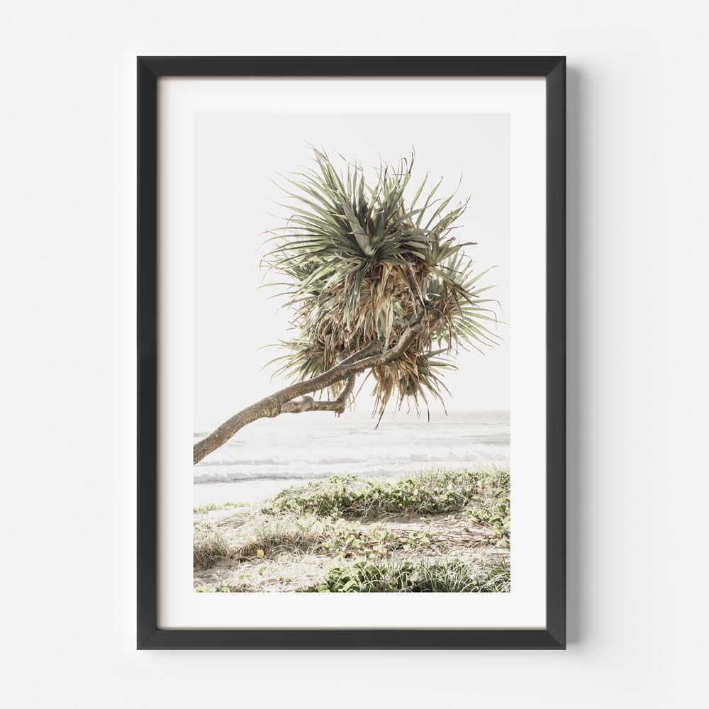 GC Pandanus II Art Print