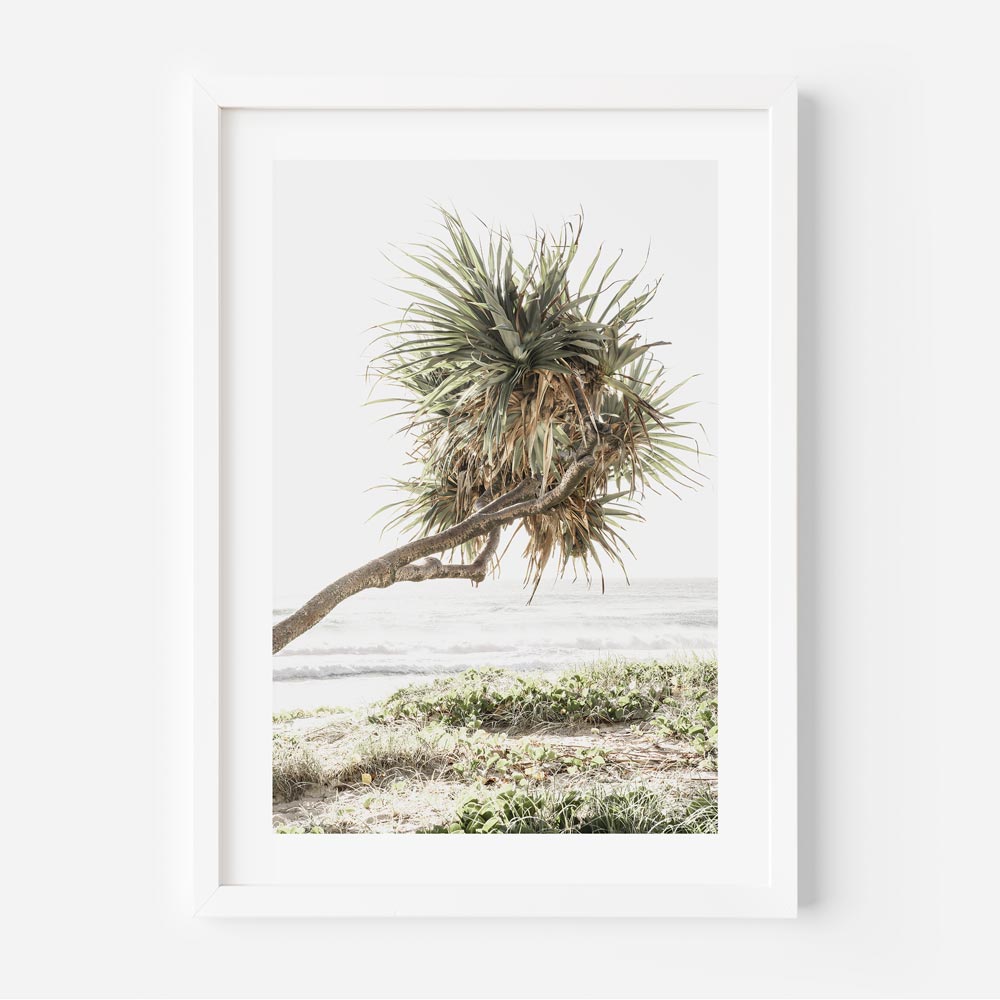 GC Pandanus II Art Print