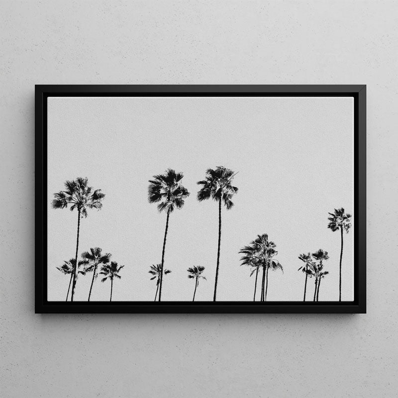 BW LA Palms Canvas Art