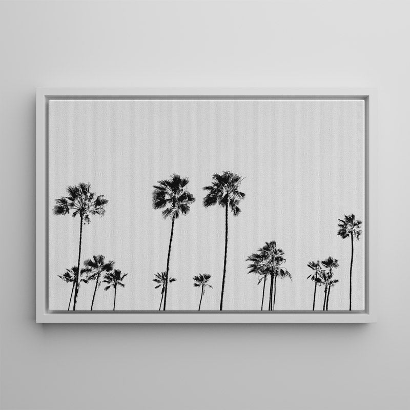 BW LA Palms Canvas Art