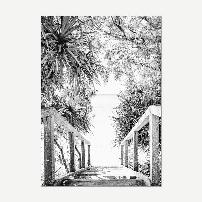 Black and white image of a wooden walkway through trees