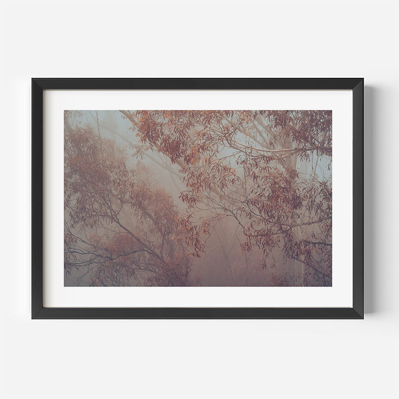 Framed artwork of tree branches with autumn leaves on a white background