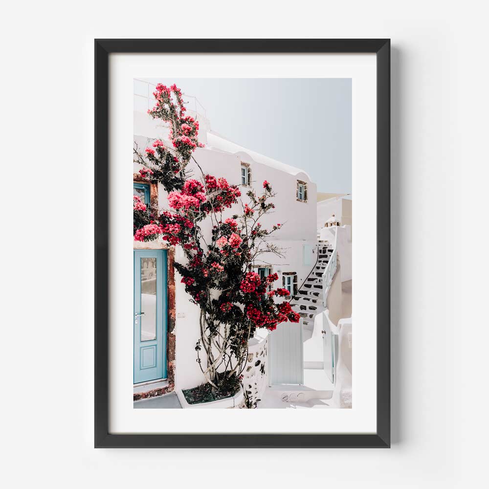 Santorini Blooms Art Print