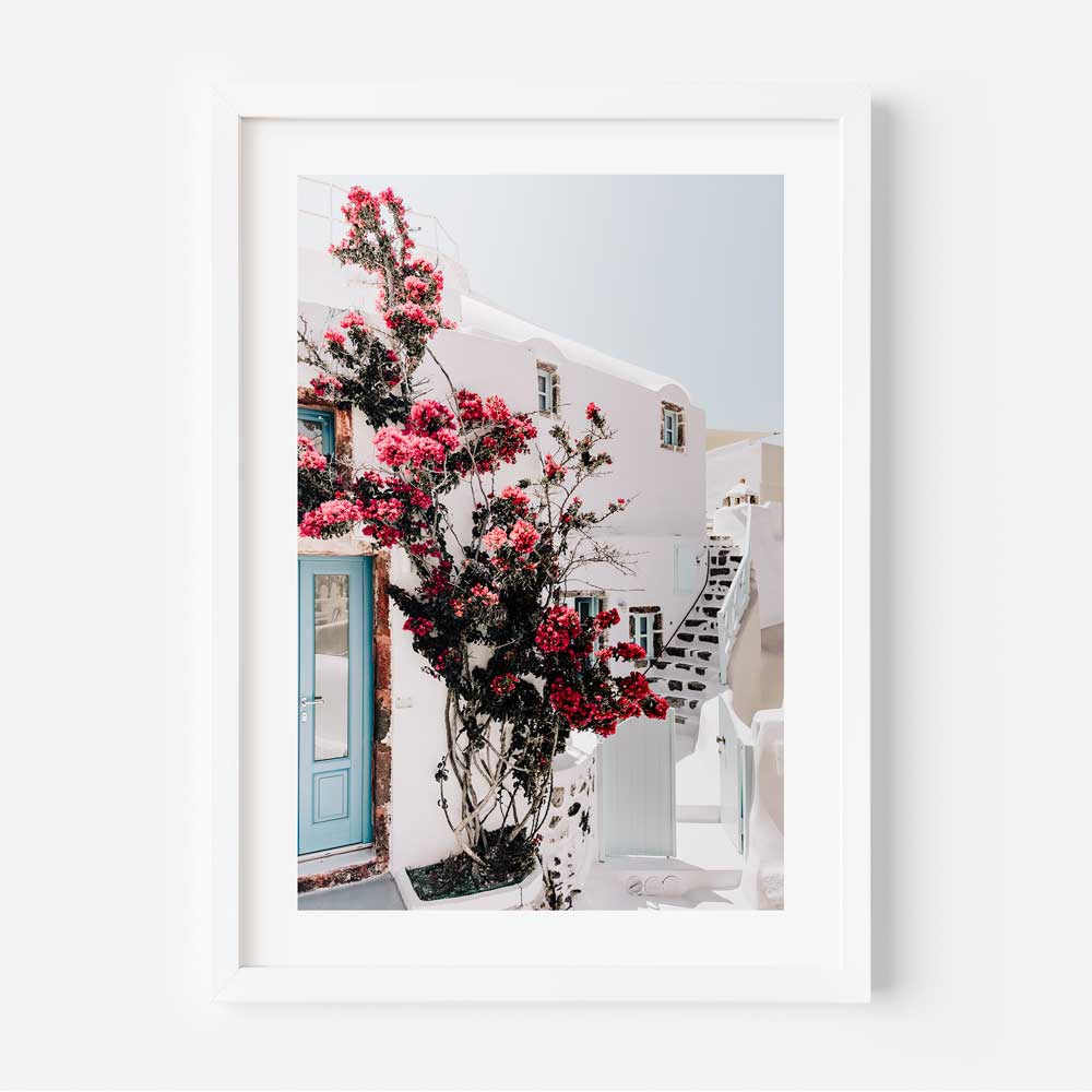Santorini Blooms Art Print