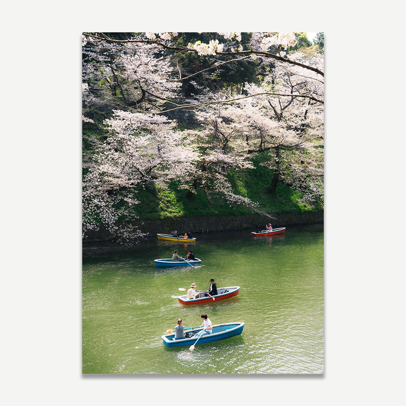 Boating Under Cherry Trees Art Print