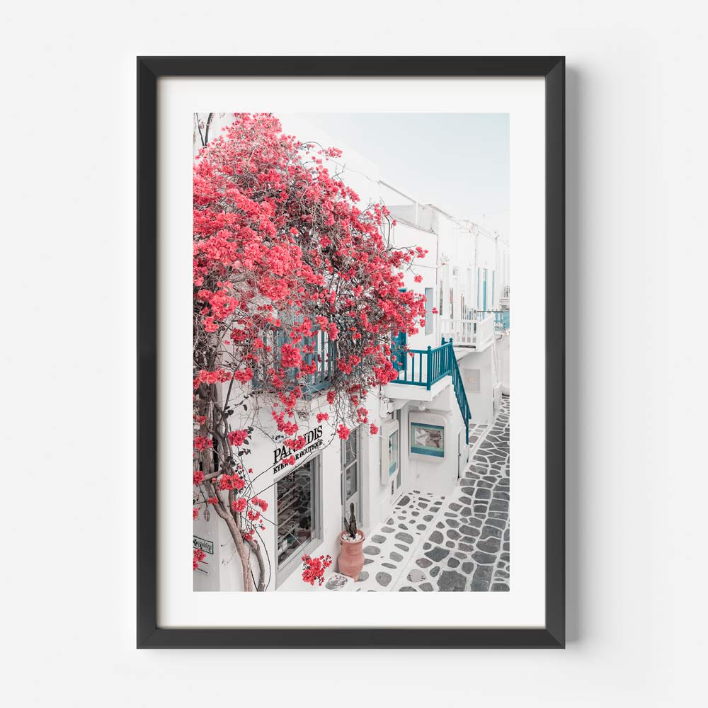 Bougainvillea Mykonos Art Print