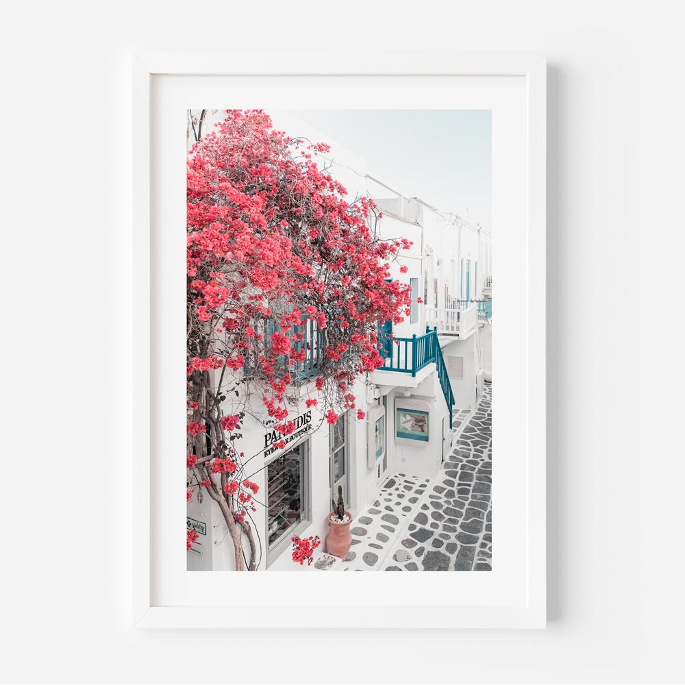 Bougainvillea Mykonos Art Print