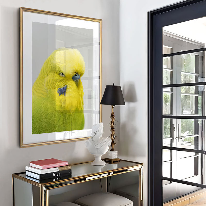 Framed picture of a yellow parrot on a wall in a room with a lamp and books.