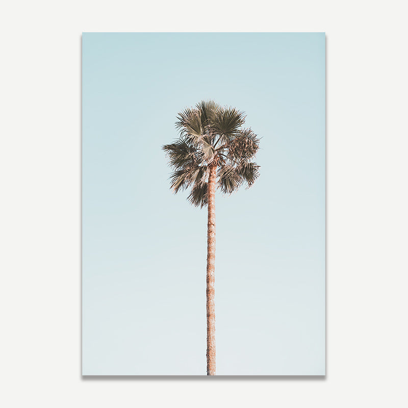 Palm tree against a light blue sky
