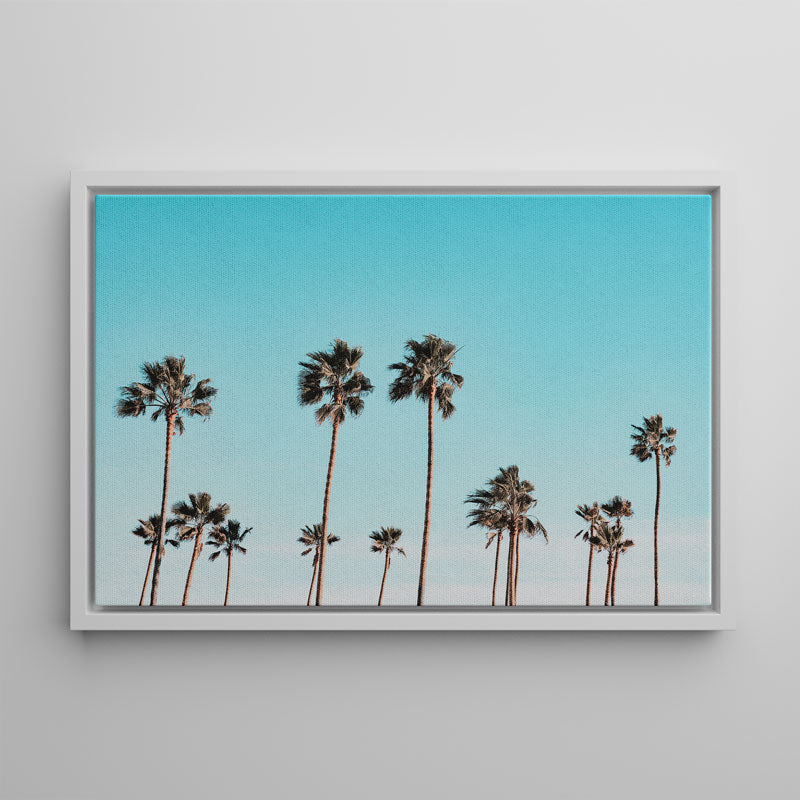 California Palms Canvas Art