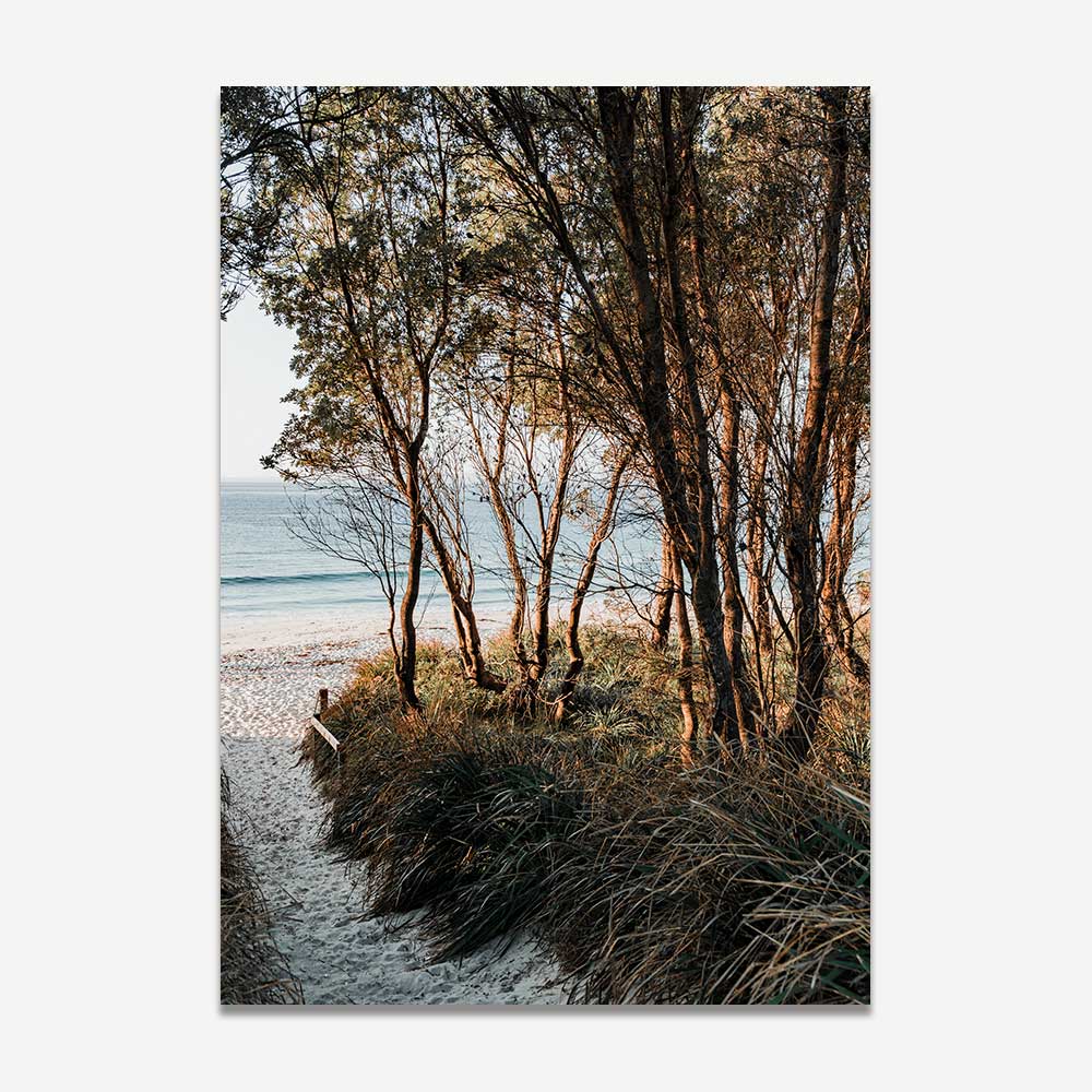 pathway to the beach print