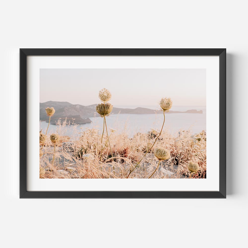 Milos Wild Flowers Art Print