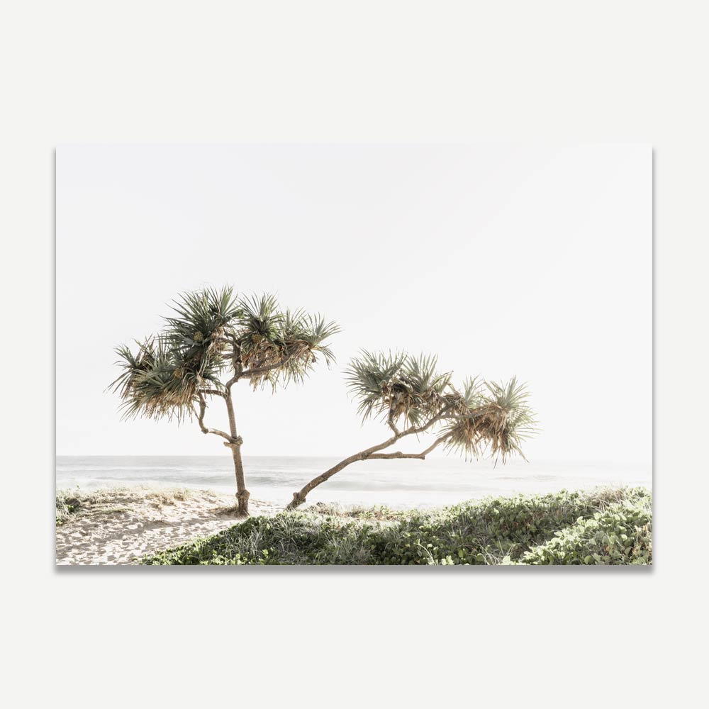 Ocean Breeze Gold Coast Art Print