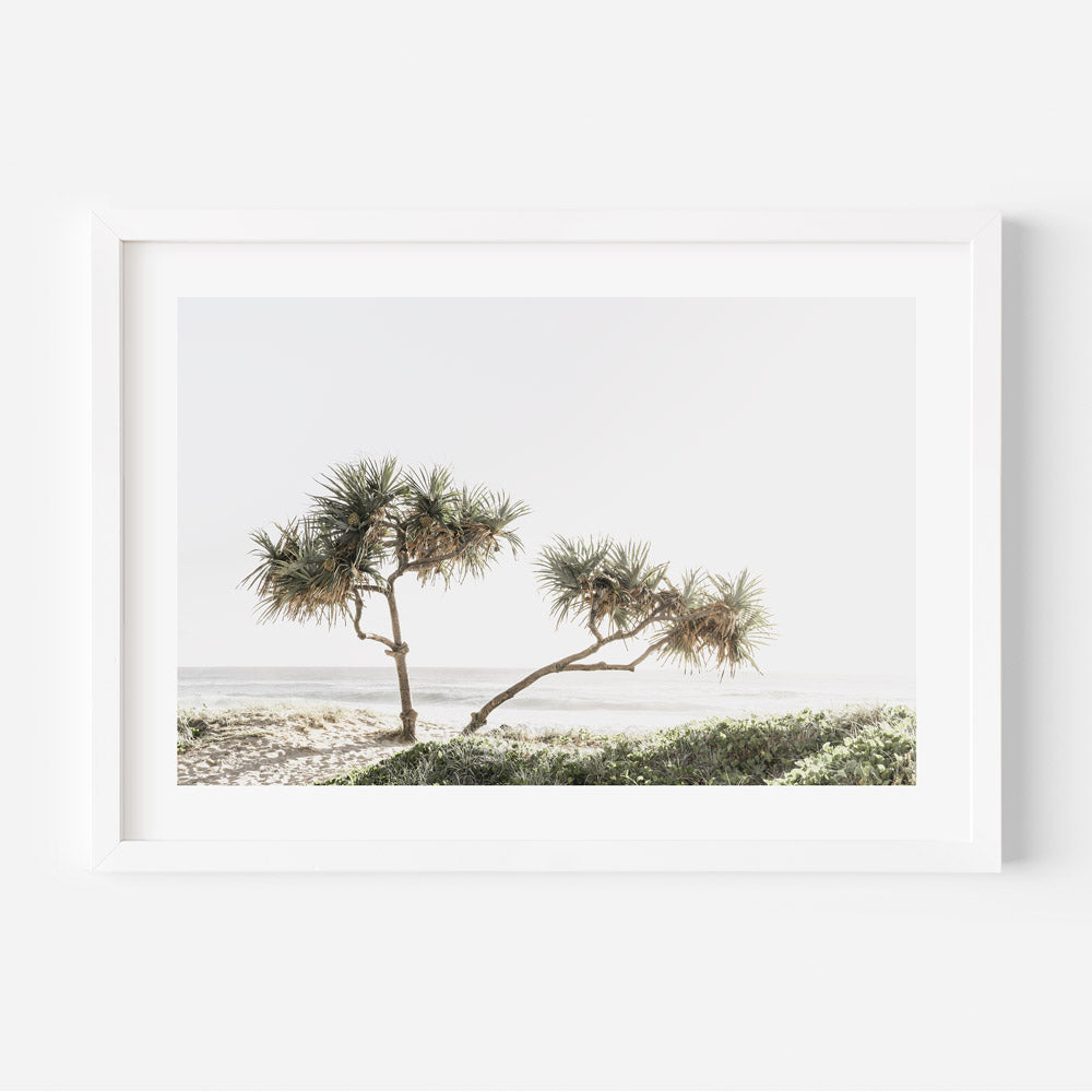 Ocean Breeze Gold Coast Art Print