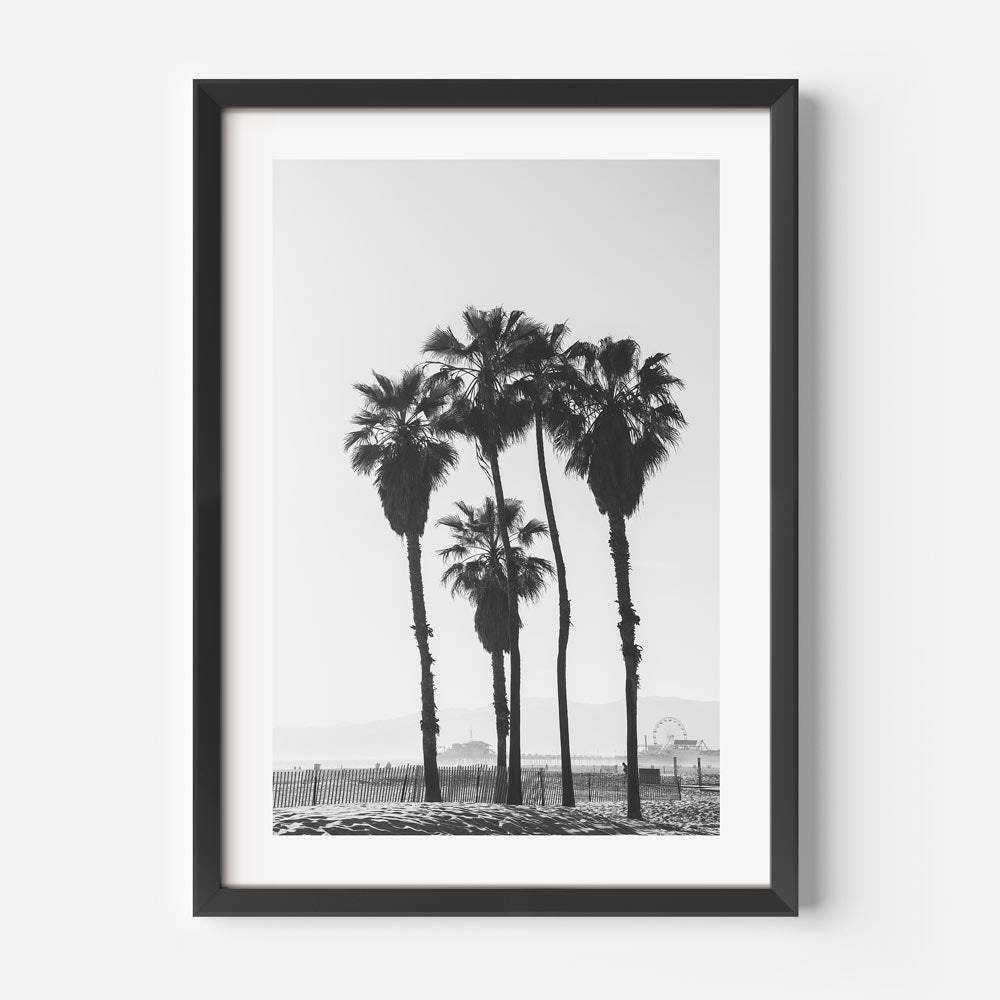 Ocean Park BW Art Print
