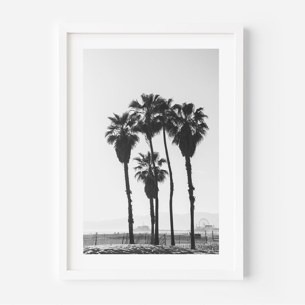 A black and white photograph of palm trees on a beach with a clear blue sky in the background, framed in a white picture frame.
