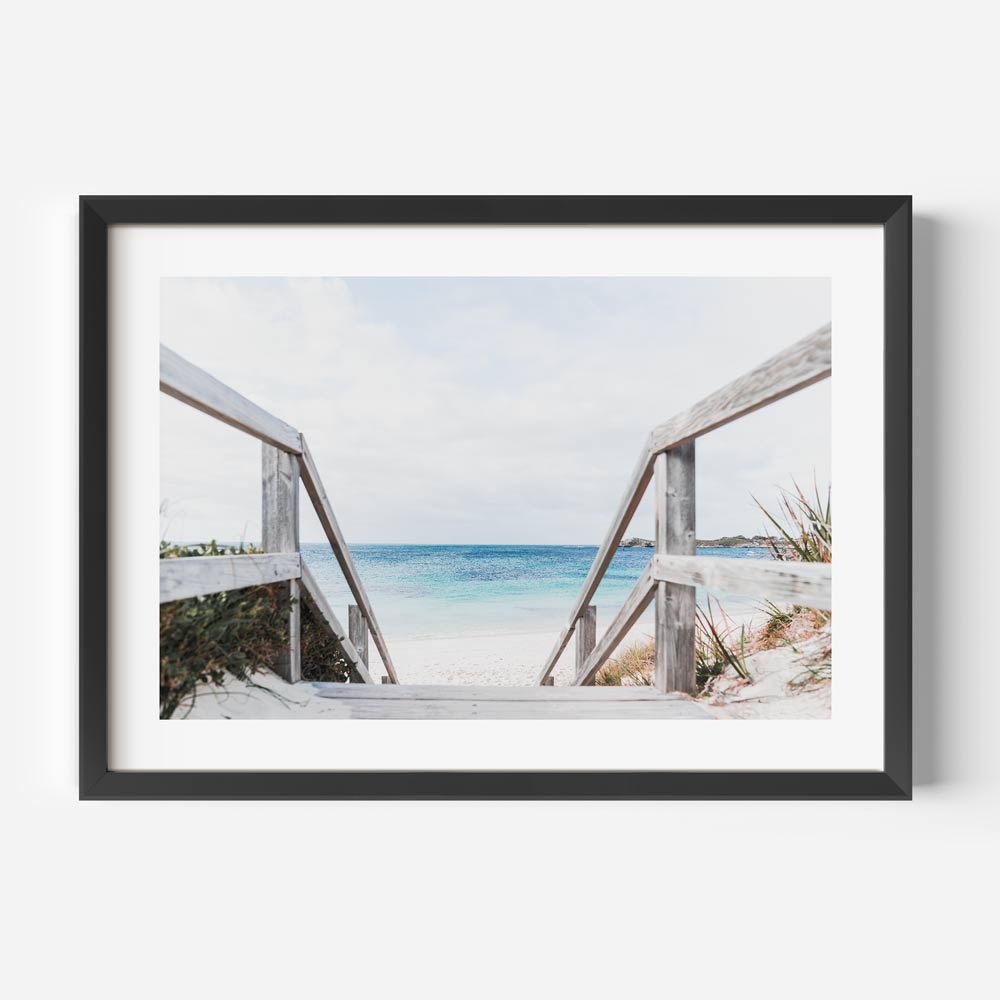 To the Blue Parakeet Bay Art Print