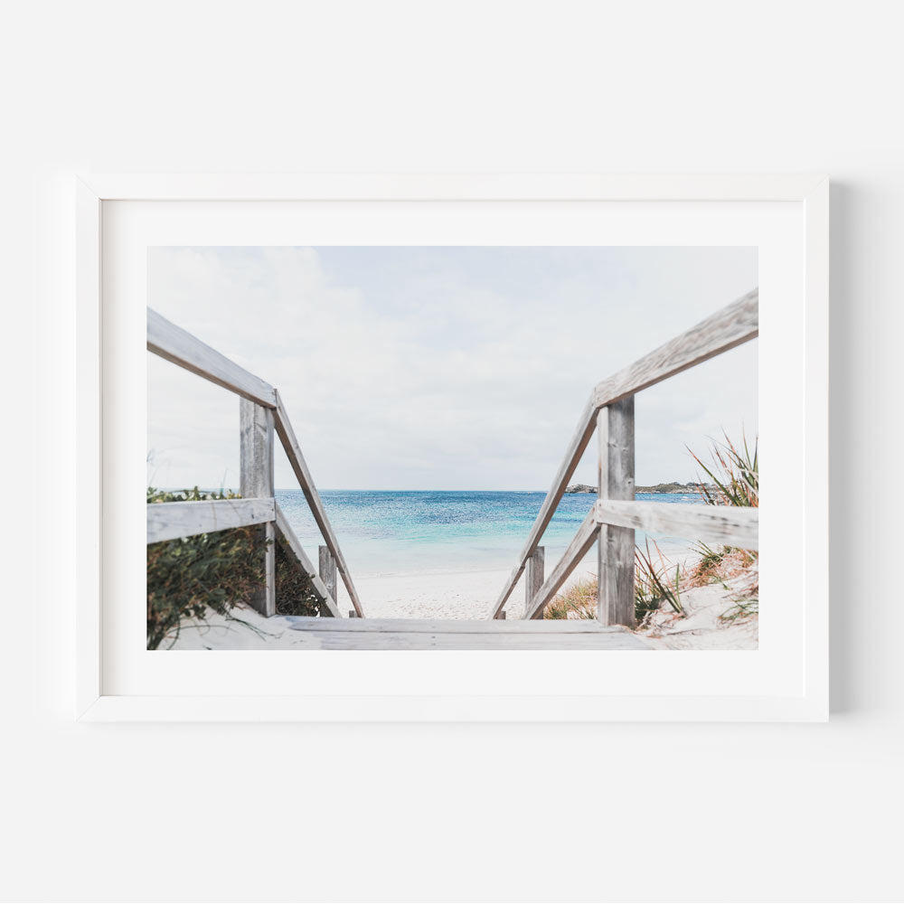 To the Blue Parakeet Bay Art Print
