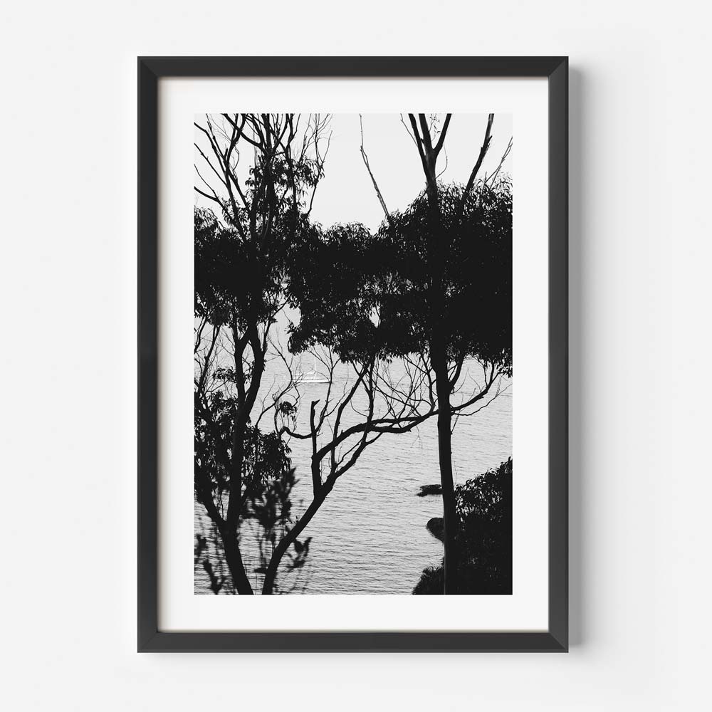 Explore the beauty of Palm Beach with this stunning photograph of Sail Away - Great for canvas prints and wall artwork.