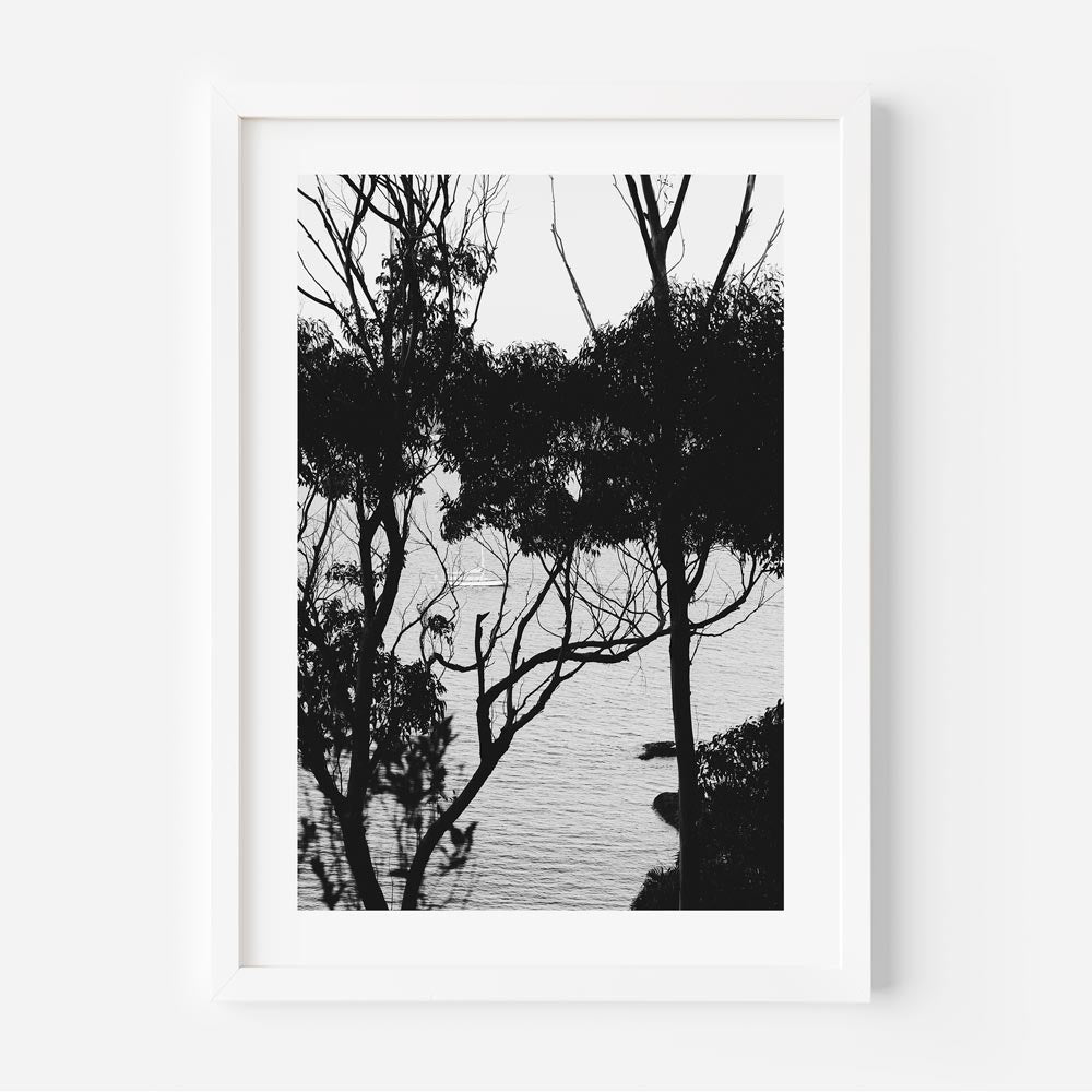 Captivating photograph of Sail Away at Palm Beach, Australia - Perfect for wall art and home decor.