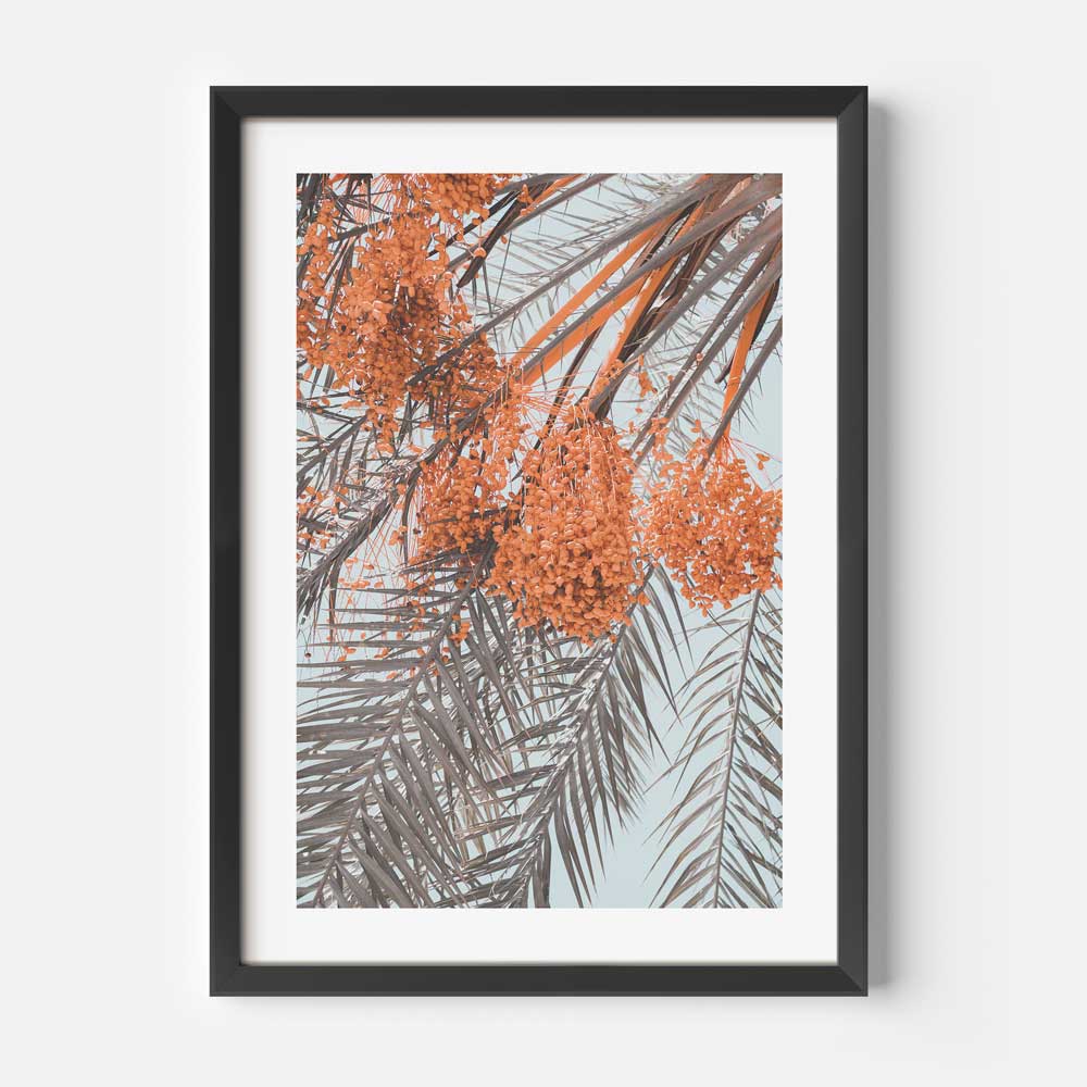 Costa Mesa Palm Art Print