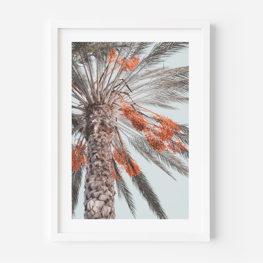 Costa Mesa Palm Tree Art Print