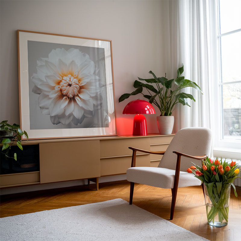 Beautiful white flower with orange petals on a grey background - wall artwork from Oblongshop.