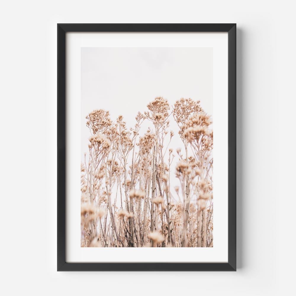 Wild Flowers Art Print