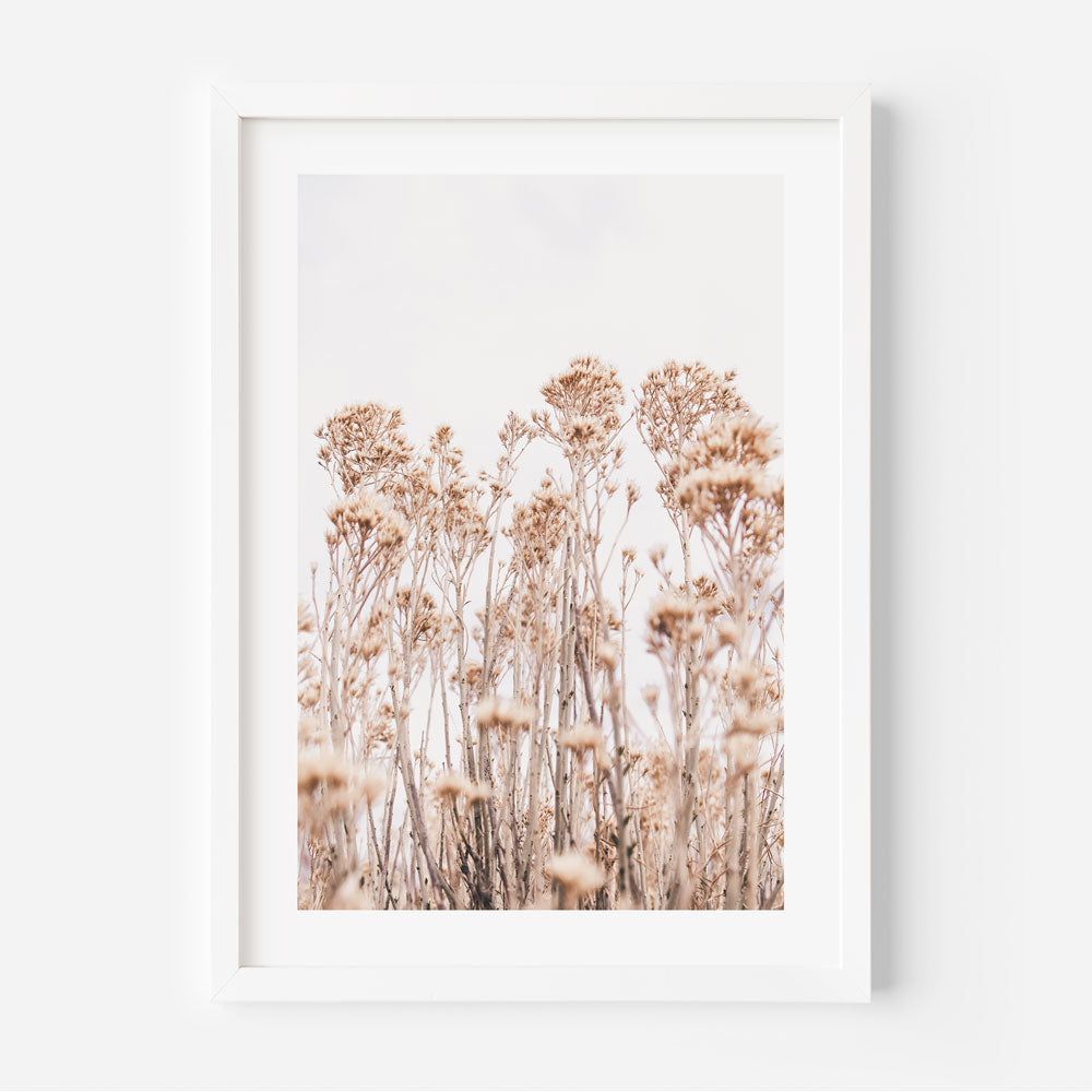 A framed print featuring a photograph of wild flowers in a field, with a neutral color palette.