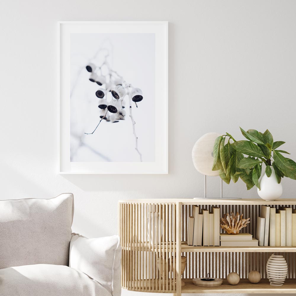 Eucalyptus Nuts II Art Print