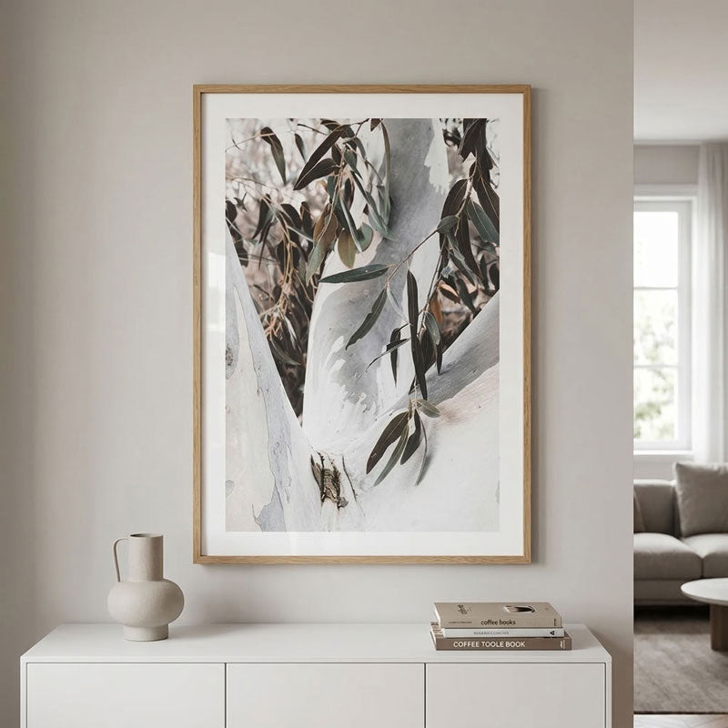 Eucalyptus Tree Art Print