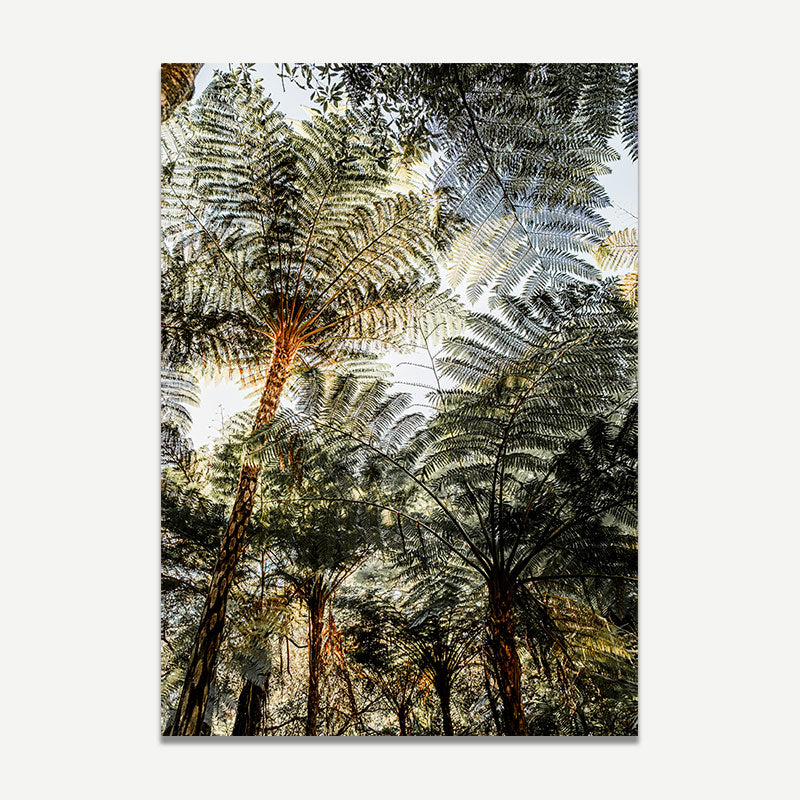 Tropical forest with palm trees and ferns, artistic filter applied