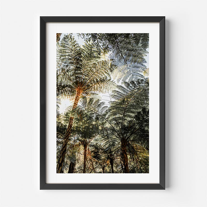 Framed artwork of a forest scene with trees and sunlight filtering through.