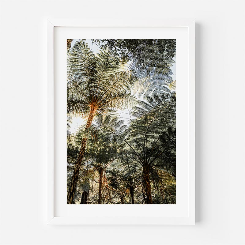 Framed artwork of a forest scene with ferns and trees on a white background