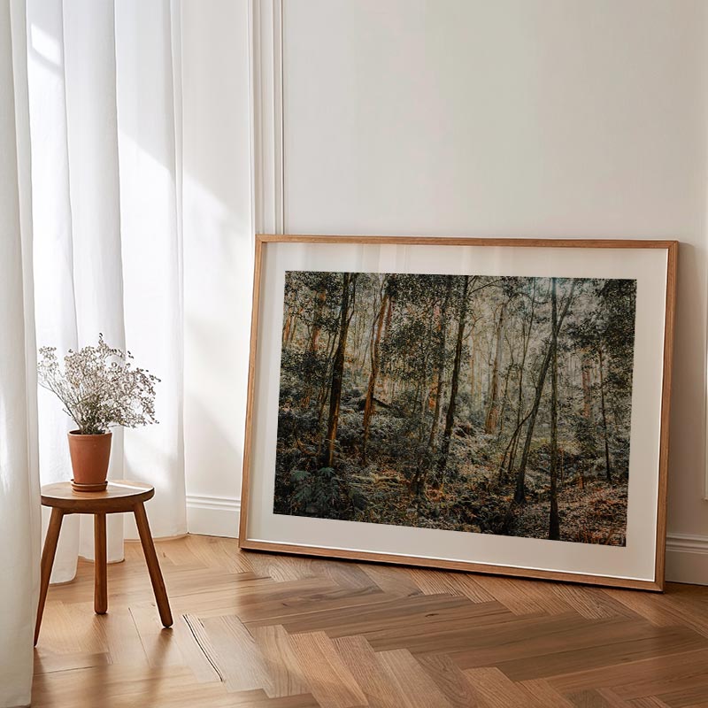 Framed forest print on a wall in a room with wooden floor and plant.