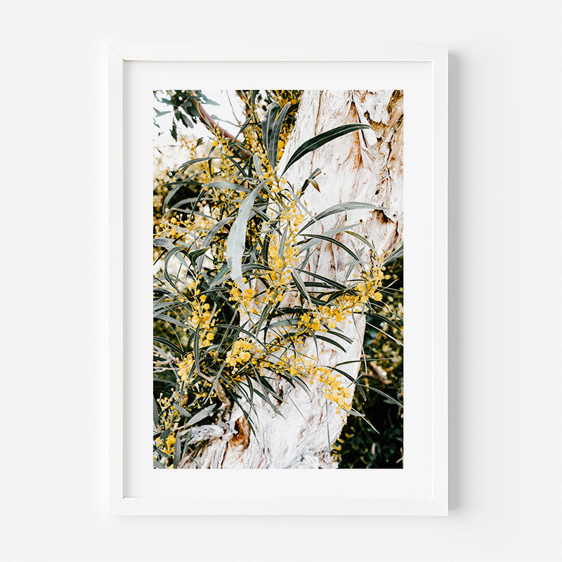 A framed botanical art print featuring yellow flowers and green leaves against a textured white tree trunk, presented in a clean white frame on a light gray background.
