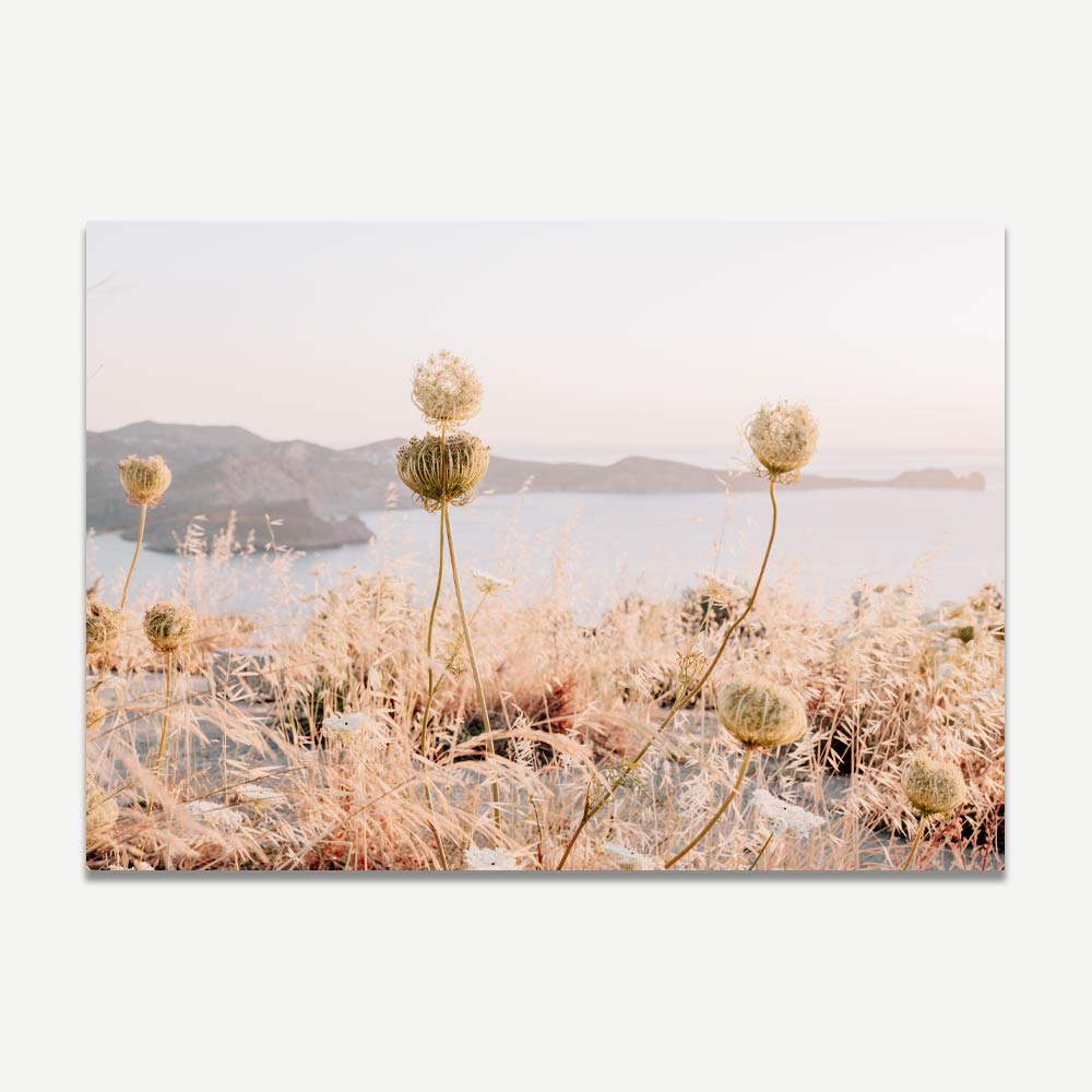 Milos Wild Flowers Art Print