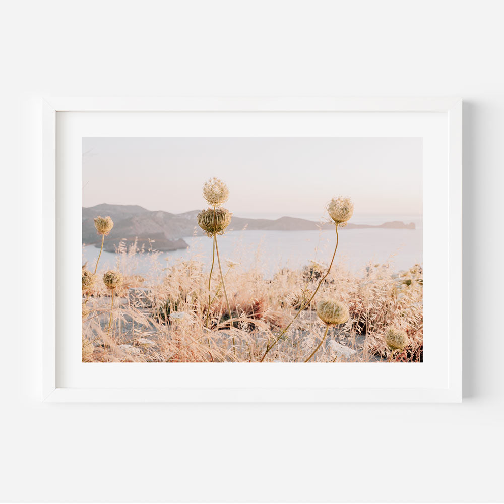 Milos Wild Flowers Art Print