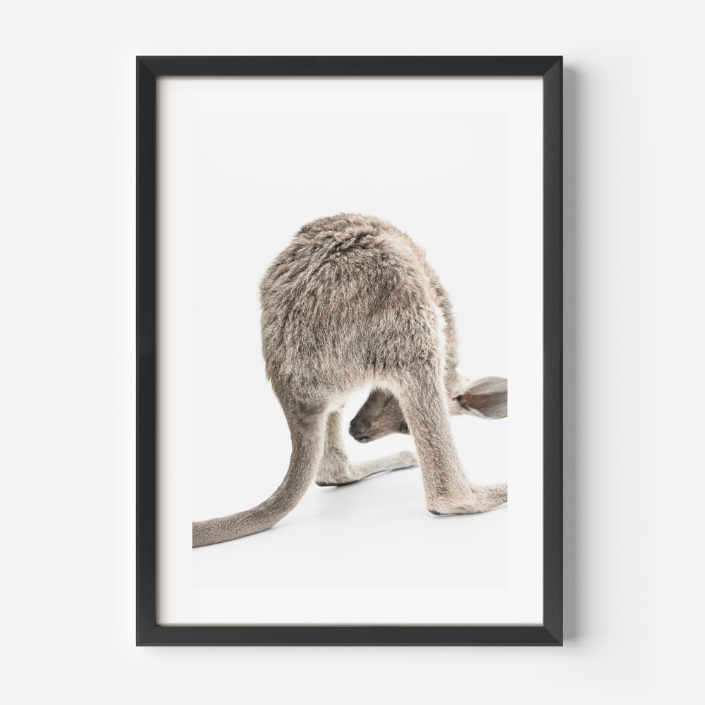Little Kangaroo Art Print